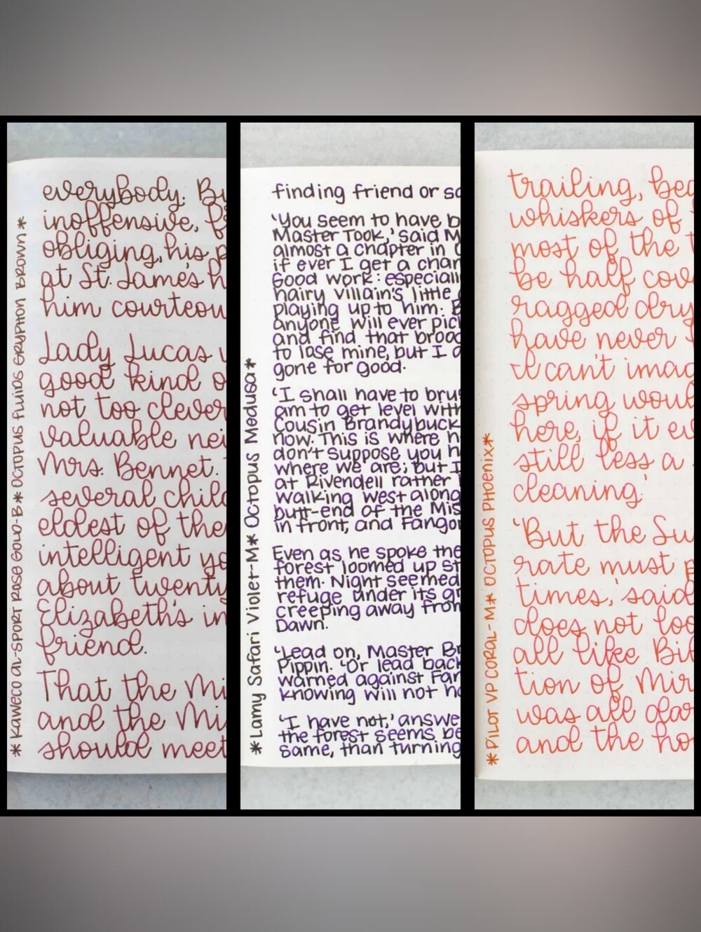 Octopus Ink Sampler Trio - Picture 3 of 9